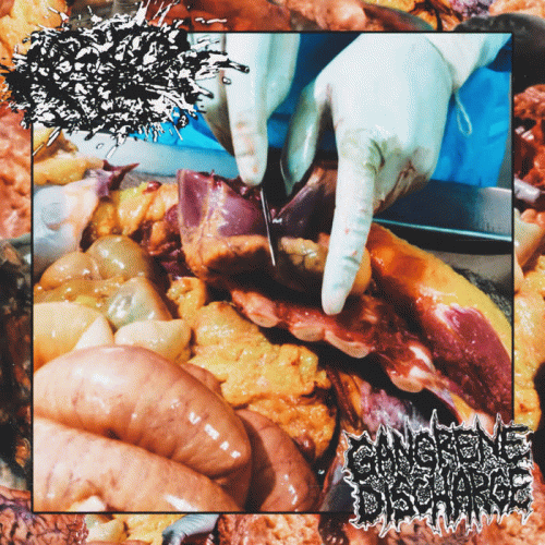 Gangrene Discharge : Gangrene Discharge - Epigenetic Erotophonophilia